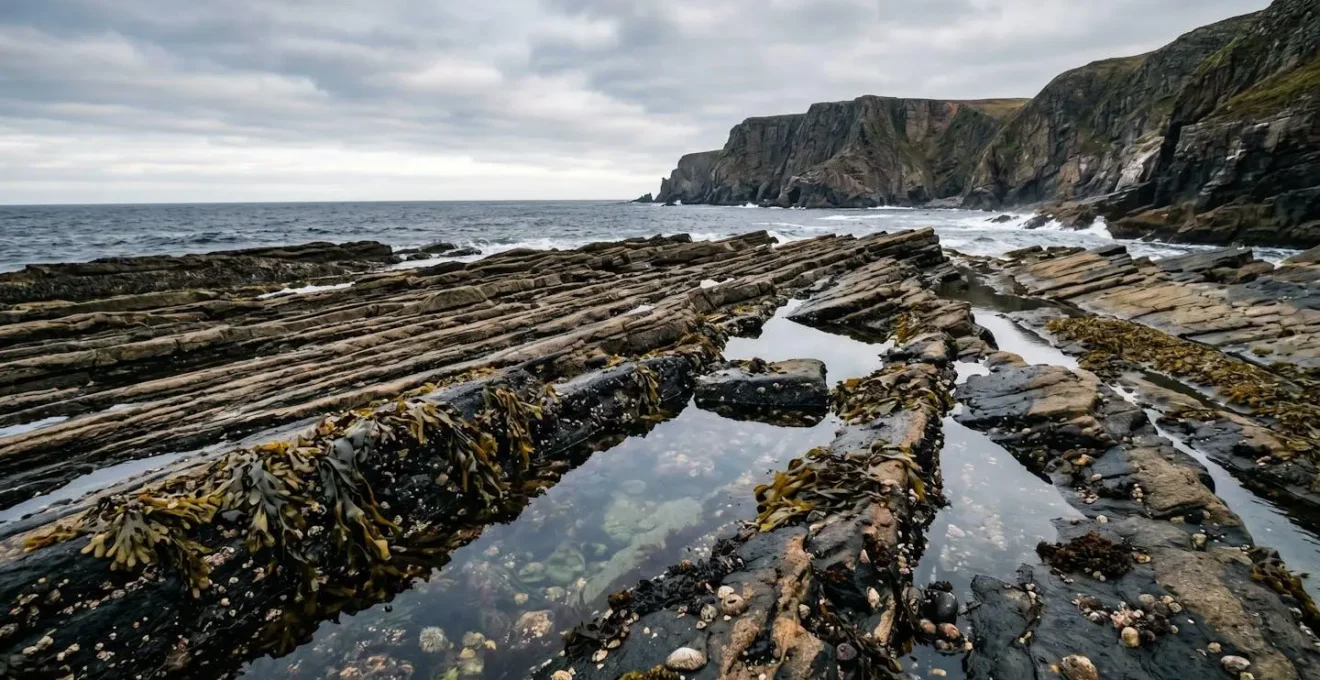 A marine scientist crouched at rocky shoreline observing intertidal zone organisms during low tide