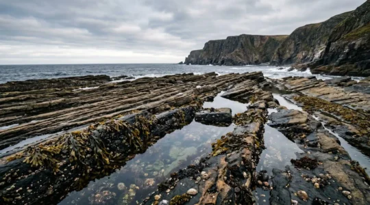 A marine scientist crouched at rocky shoreline observing intertidal zone organisms during low tide