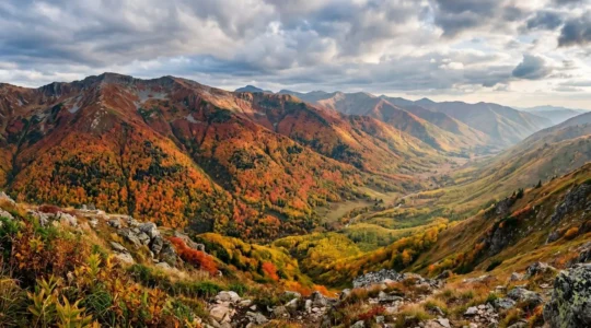 Vibrant autumn mountain landscape showcasing peak fall colors with dramatic lighting